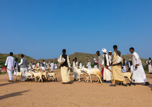 Eritrean men in the livestock market, Gash-Barka, Agordat, Eritrea