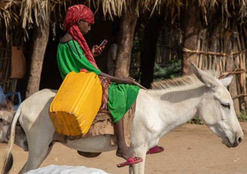 Eritrean girl reading her mobile phone while riding a donkey, Gash-Barka, Agordat, Eritrea