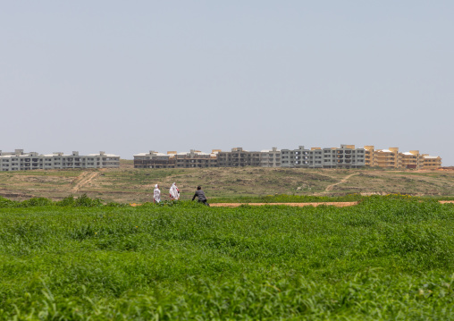 New apartments blocks built in the suburb, Central region, Asmara, Eritrea