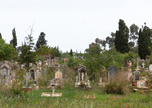 Old graves from the italian colonial era, Central region, Asmara, Eritrea