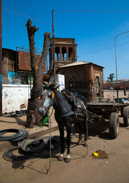 Horse and cart in medebar metal market, Central region, Asmara, Eritrea