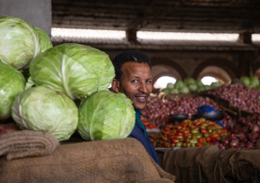 Eritrean man in the fruits and vegetables market, Central region, Asmara, Eritrea