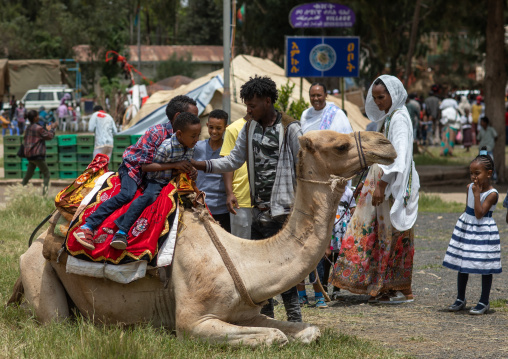 Eritrean tourists riding a camel during expo festival, Central region, Asmara, Eritrea