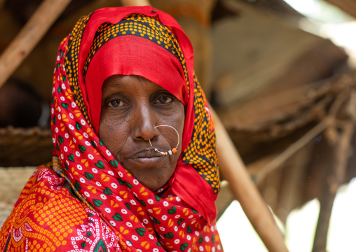 Portrait of a tribal eritrean woman with nose ring, Central region, Asmara, Eritrea