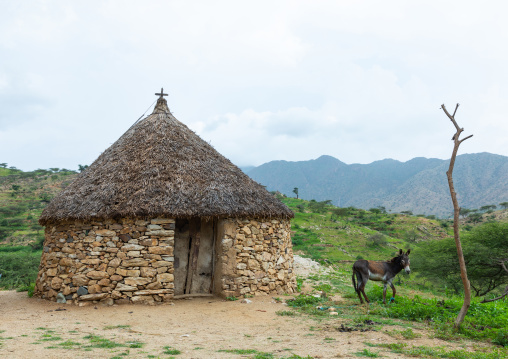 Bilen village with thatched huts, Semien-Keih-Bahri, Elabered, Eritrea
