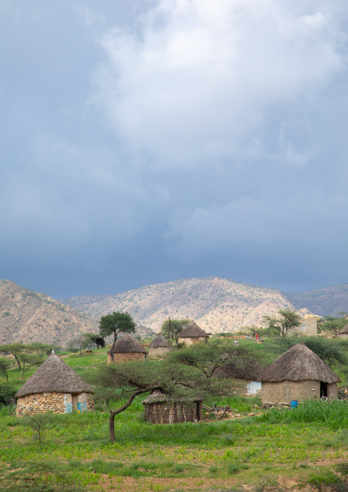 Bilen village with thatched huts, Semien-Keih-Bahri, Elabered, Eritrea