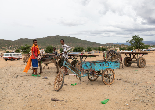 Eritrean boys with carts in a market, Debub, Ghinda, Eritrea