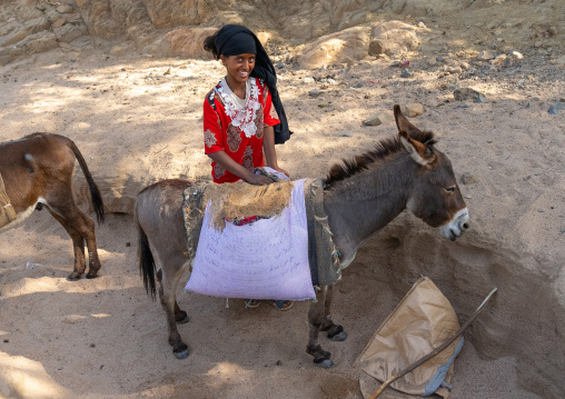 Eritrean girl collecting sand with her donkey, Semien-Keih-Bahri, Keren, Eritrea