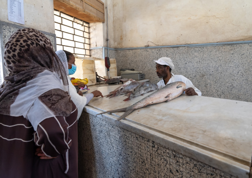Eritrean women buying fish in the fish market, Central Region, Asmara, Eritrea