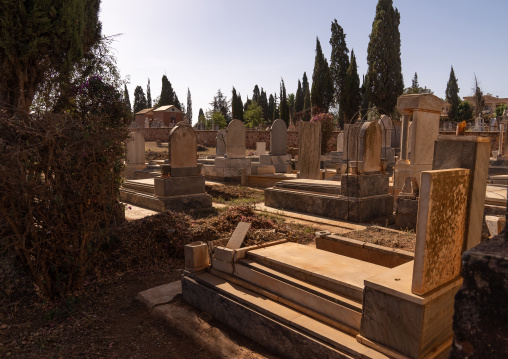 Old jewish cemetery, Central Region, Asmara, Eritrea