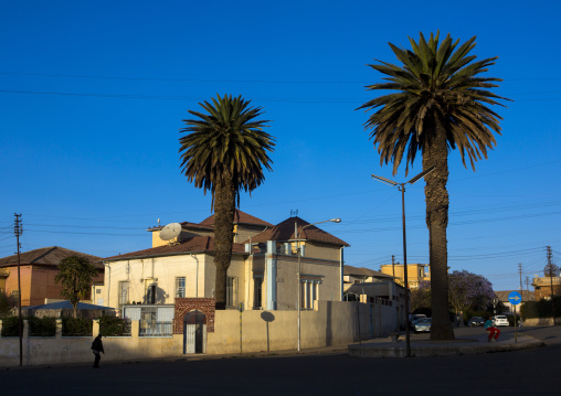 Art deco italian colonial building with palm trees, Central Region, Asmara, Eritrea