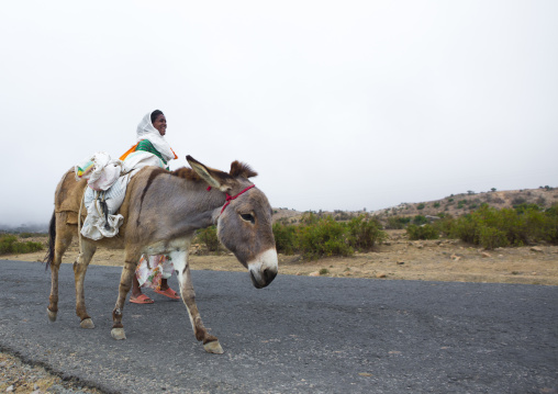 Eritrean woman on a road with a donkey, Debub, Senafe, Eritrea