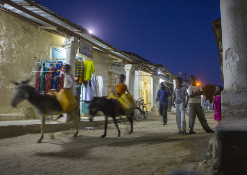 Donkeys in the market at night, Anseba, Keren, Eritrea