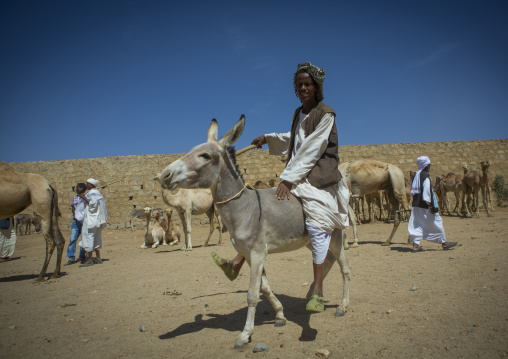 Eritrean man riding a donkey in the monday camel market, Anseba, Keren, Eritrea