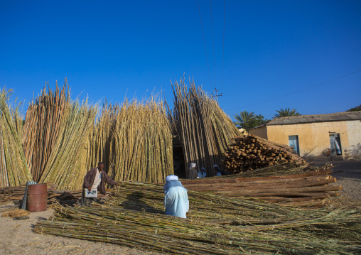 Wood market, Anseba, Keren, Eritrea