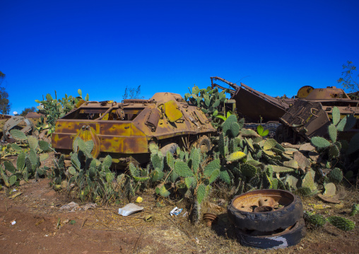 Tank and truck graveyard, Central Region, Asmara, Eritrea