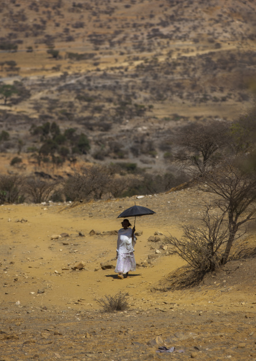 Eritrean woman walking with an umbrella in the bush, Debub, Adi Keyh, Eritrea