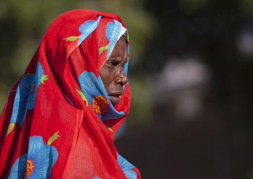Portrait of an old eritrean woman, Anseba, Keren, Eritrea