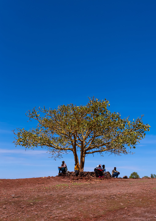 Ethiopian people standing under a tree to search for shadow, Amhara Region, Lalibela, Ethiopia