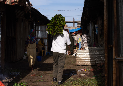 Ethiopian man carrying khat in a market, Harari Region, Awaday, Ethiopia