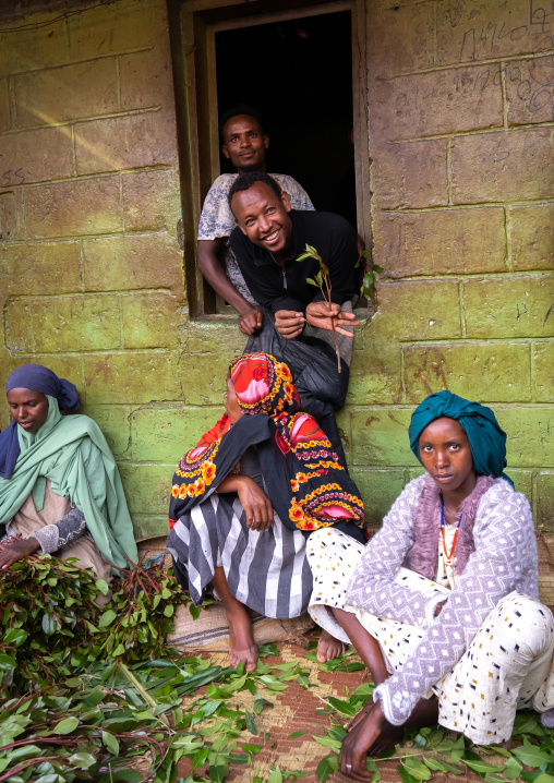 Ethiopian people chewing khat, Harari Region, Awaday, Ethiopia