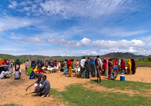 Somali animal market, Oromia, Babile, Ethiopia