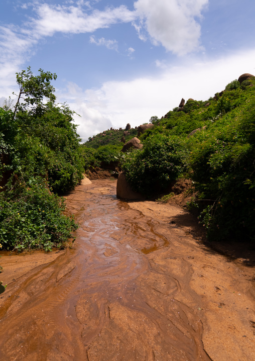 Dried river, Oromia, Babile, Ethiopia