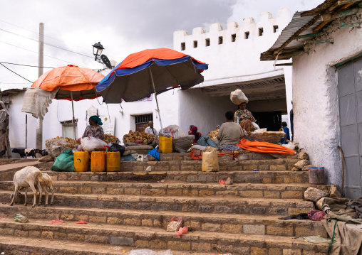 Women selling food in front of old Argoba beri gate of the town, Harari Region, Harar, Ethiopia