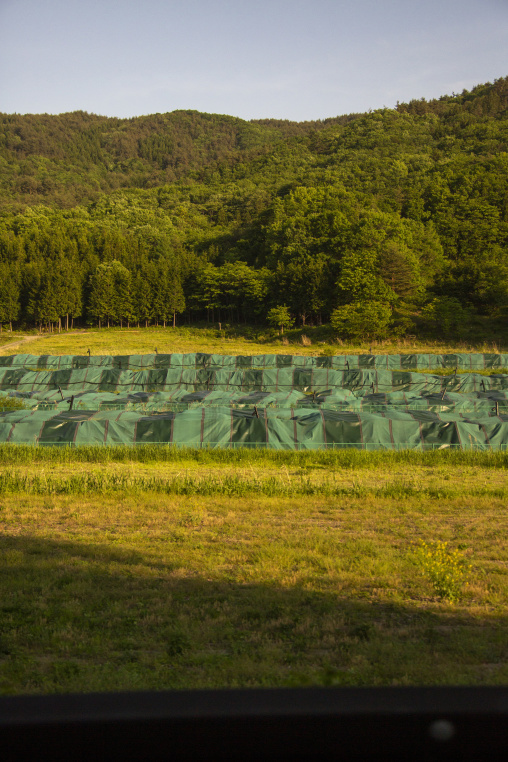 Highly contaminated area after the daiichi nuclear power plant irradiation, Fukushima prefecture, Iitate, Japan