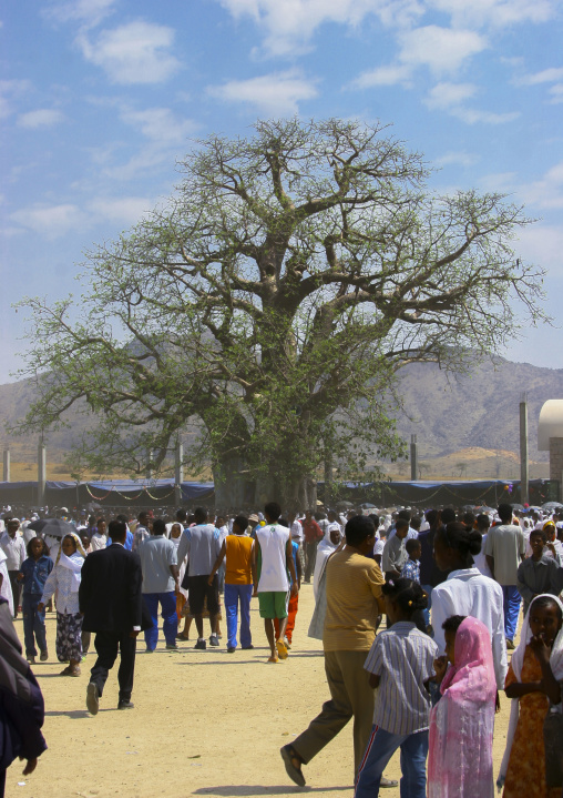 Crowd in front of baobab at festival of mariam dearit, Anseba, Keren, Eritrea