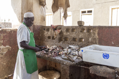 A fishmonger wearing a green apron cleans fish at an outdoor stall, Red Sea State, Port Sudan, Sudan