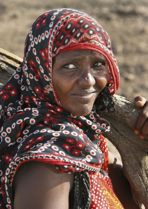 Afar tribe woman carrying wood in danakil desert, Northern Red Sea, Thio, Eritrea