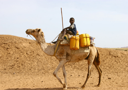 Rashaida tribe boy on his camel in danakil desert, Northern Red Sea, Massawa, Eritrea
