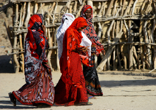 Women attending an Afar wedding in Danakil desert, Northern Red Sea, Thio, Eritrea