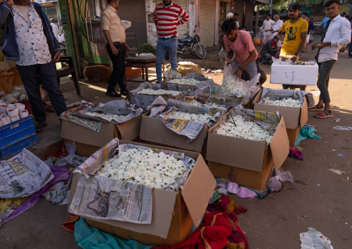 Flower market, Rajasthan, Jaipur, India