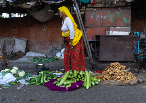 Indian woman selling vegetables in the market, Rajasthan, Jaipur, India
