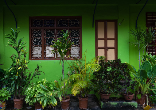 Colonial house with plants, Puducherry, Pondicherry, India