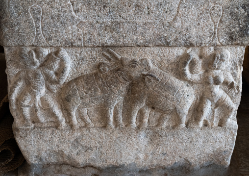 Elephants bas relief in Sri Ranganathaswamy Temple, Tamil Nadu, Tiruchirappalli, India