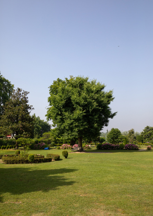 ￼Shalimar Bagh Mughal garden, Jammu and Kashmir, Srinagar, India