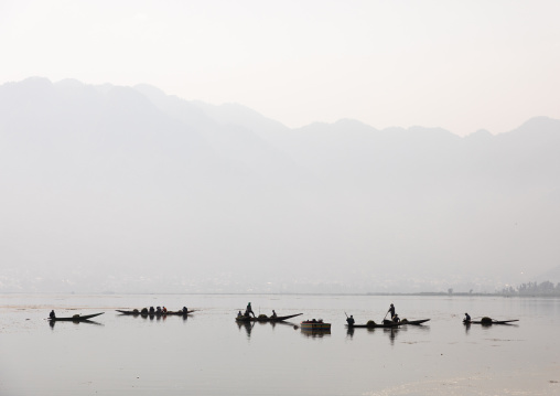 Fishermen on Dal Lake at early morning, Jammu and Kashmir, Srinagar, India