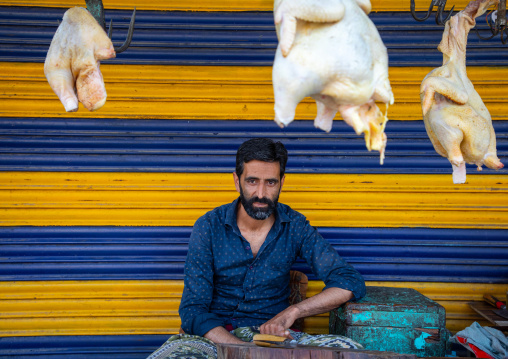 Portrait of a kashmiri man selling chickens in the market, Jammu and Kashmir, Srinagar, India