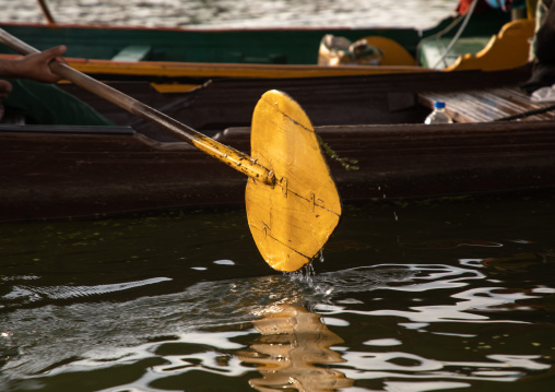 Shikara yellow paddle in Dal Lake, Jammu and Kashmir, Srinagar, India