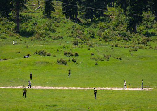 Indian people playing cricket in the meadow, Jammu and Kashmir, Yusmarg, India