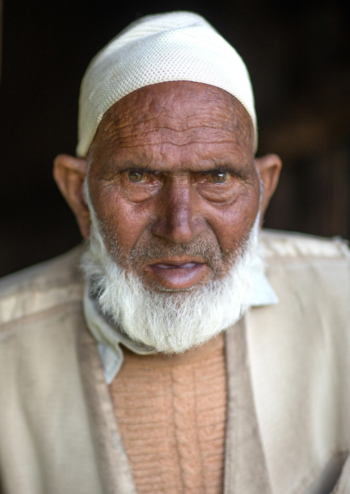 Portrait of a Gujjar Bakerwal man, Jammu and Kashmir, Yusmarg, India