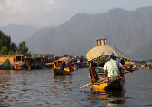 Shikara boat on Dal Lake, Jammu and Kashmir, Srinagar, India