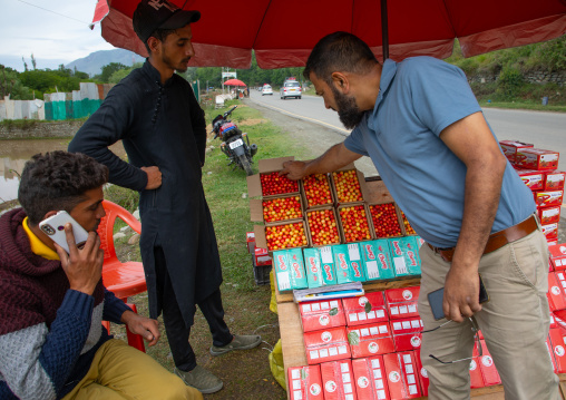 Man buying Kashmir cherry boxes, Jammu and Kashmir, Kangan, India