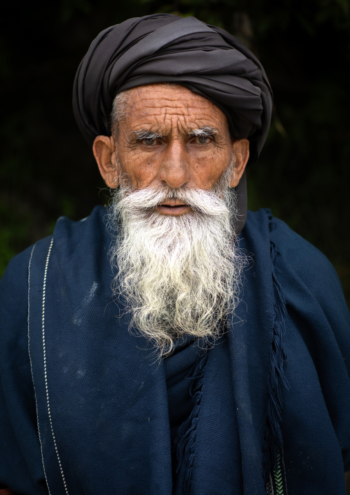 Portrait of an old Gujjar Bakerwal bearded man, Jammu and Kashmir, Kangan, India