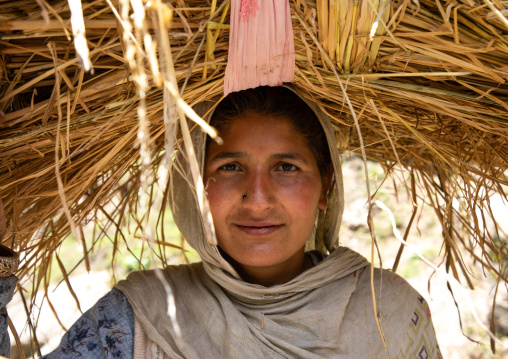 Gujjar Bakerwal woman carrying bundle on her head, Jammu and Kashmir, Kangan, India