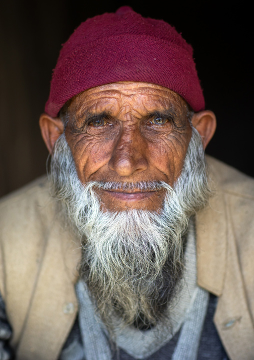 Portrait of a smiling Gujjar Bakerwal bearded man, Jammu and Kashmir, Kangan, India