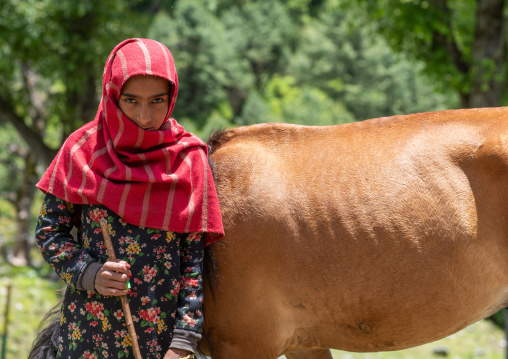 Portrait of a Gujjar Bakerwal girl with a cow, Jammu and Kashmir, Kangan, India
